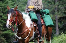 Horse Saddle Bags