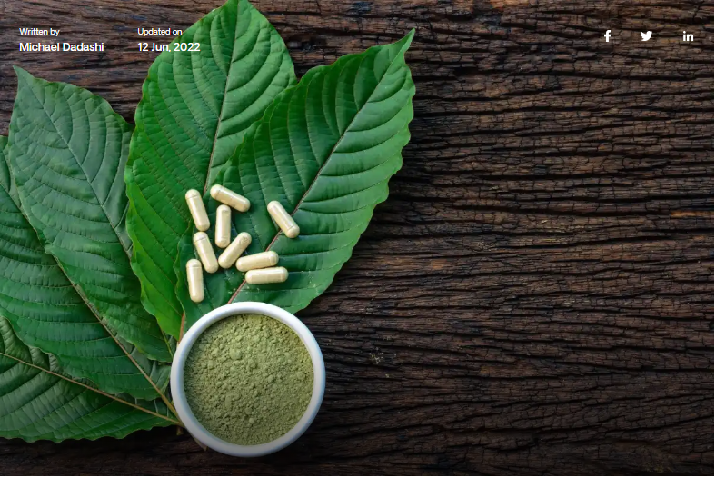 How Do You Choose The Right Kratom Product For First-Time Use?